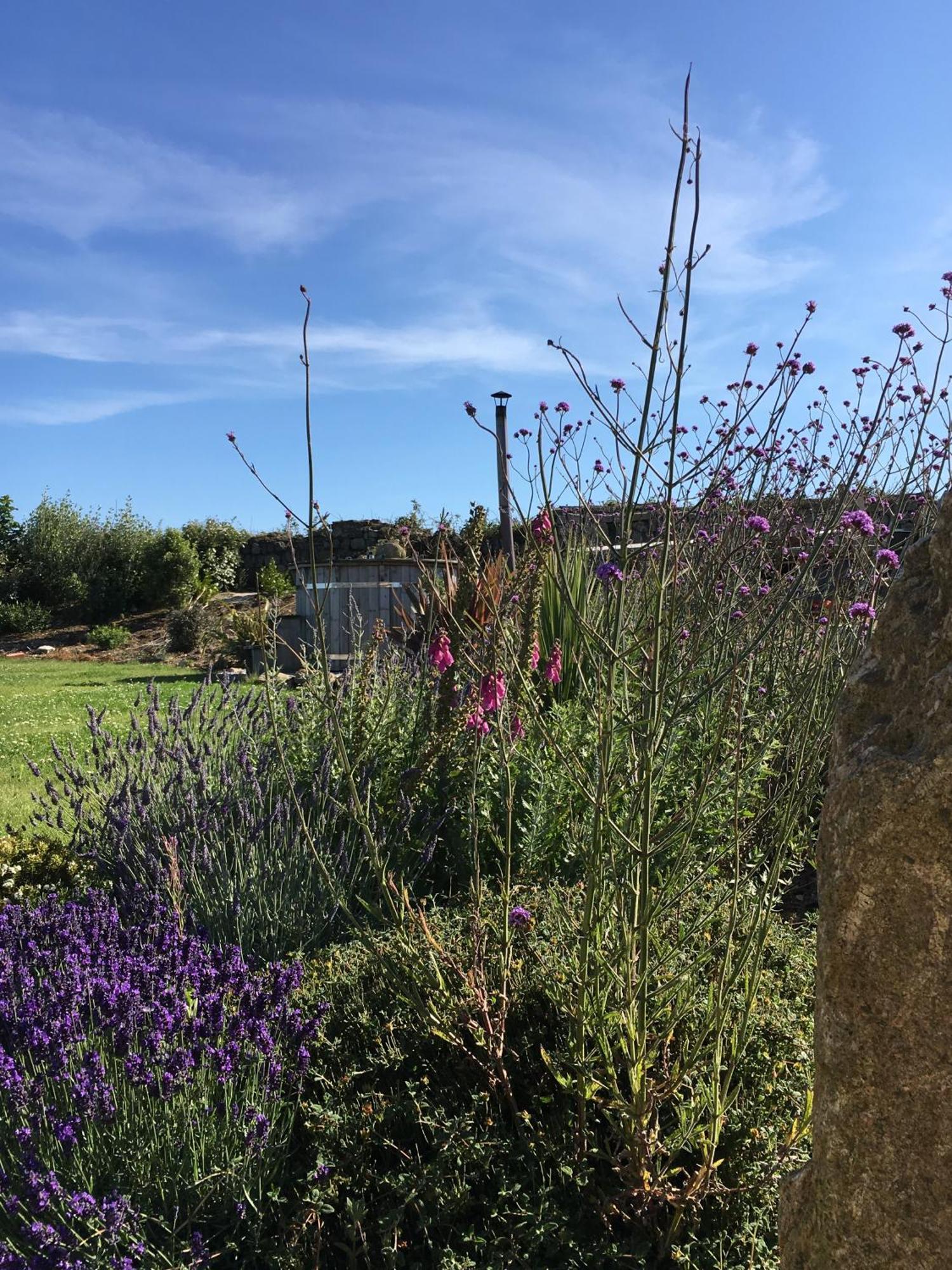 Trengothal Barn Apartment Porthcurno Exterior foto