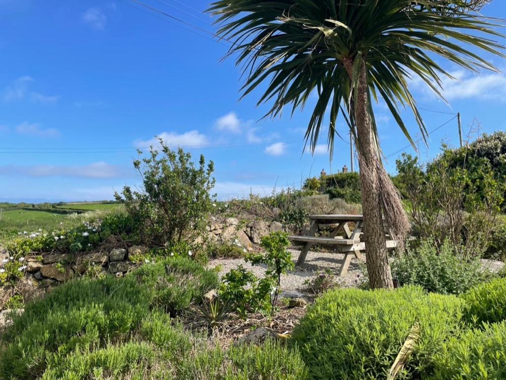 Trengothal Barn Apartment Porthcurno Exterior foto