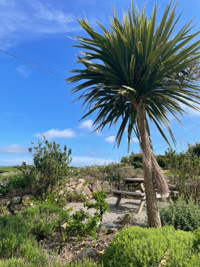 Trengothal Barn Apartment Porthcurno Exterior foto